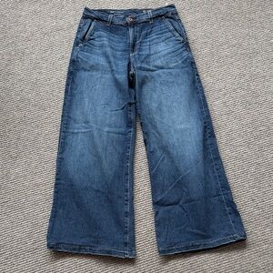 AG Stella Low Slung Palazzo Jeans, Japanese Fabric, Size 26